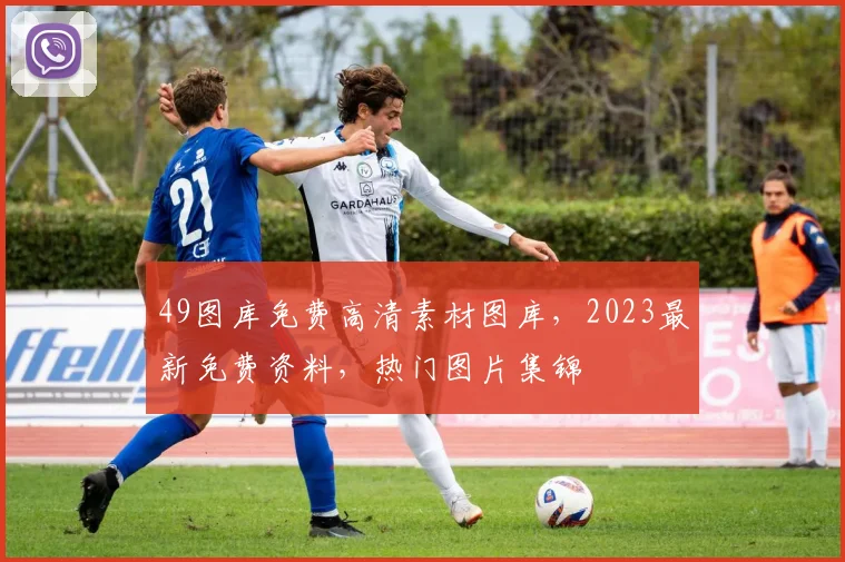49图库免费高清素材图库，2023最新免费资料，热门图片集锦